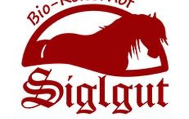 Bio-Reiterhof Siglgut
